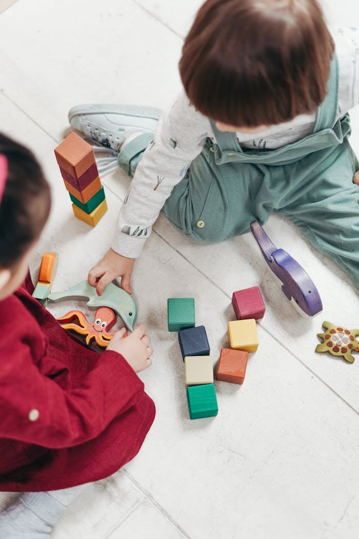 Services Two young children playing with colorful wooden blocks indoors, fostering creativity and fun.