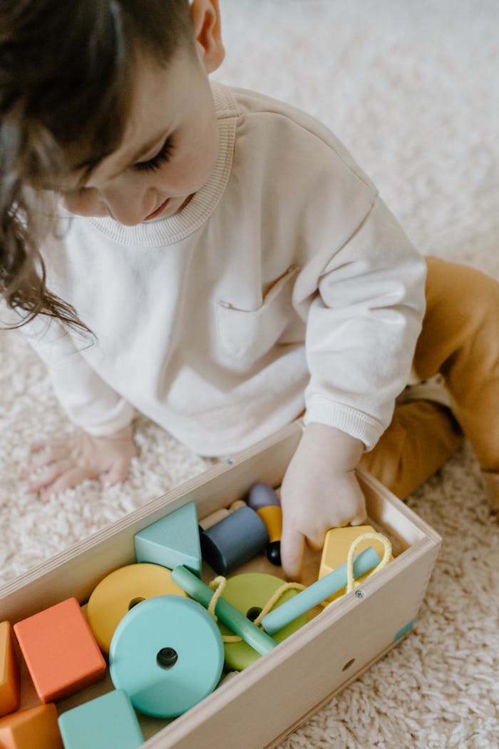Services A child playing with various colorful wooden educational toys on a carpet, promoting sustainable learning.